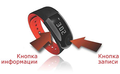 Nike+SportBand купить цена москва