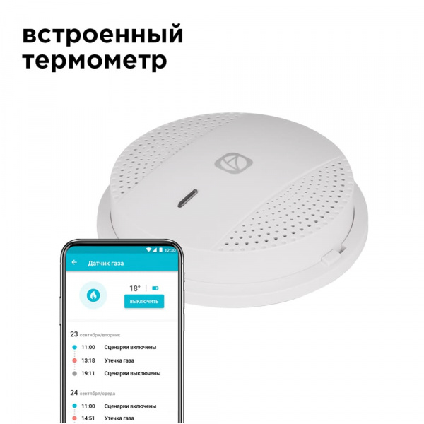 Умный датчик газа Redmond SkyGas (RSG-151S) купить в интернет-магазине icover