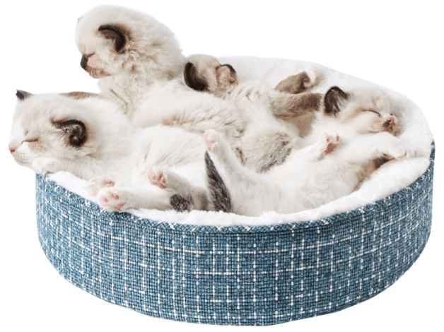 

Лежак для кошек Petkit Deep Seep Cat Bed P7107 (Blue)