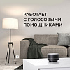 Умная розетка Redmond SkyPlug (RSP-103S) купить в интернет-магазине icover