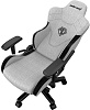 Игровое кресло AndaSeat T-Pro 2 (Grey/Black) купить в интернет-магазине icover