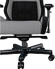 Игровое кресло AndaSeat T-Pro 2 (Grey/Black) купить в интернет-магазине icover