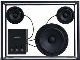 Акустическая система Transparent Speaker TS-B-1809 (Black) купить в интернет-магазине icover