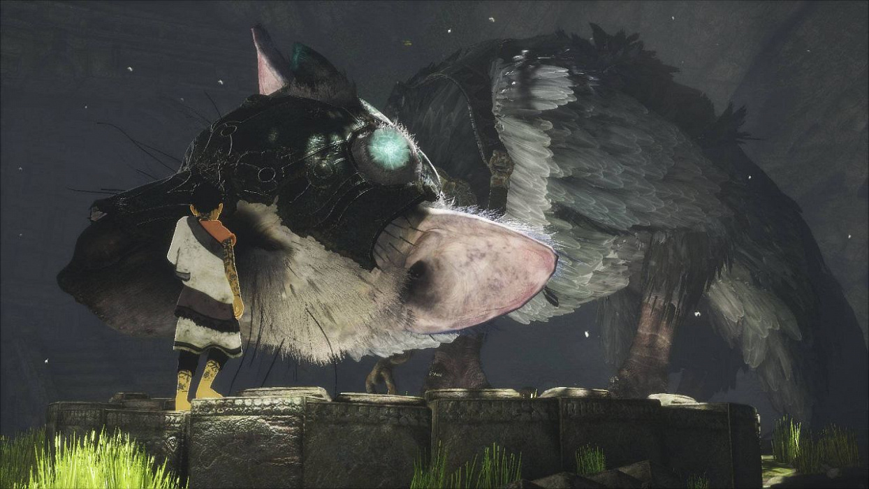 The last guardian steam фото 82