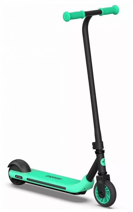 Детский электросамокат Ninebot KickScooter Zing A6 (Green) купить в интернет-магазине icover