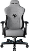 Игровое кресло AndaSeat T-Pro 2 (Grey/Black) купить в интернет-магазине icover