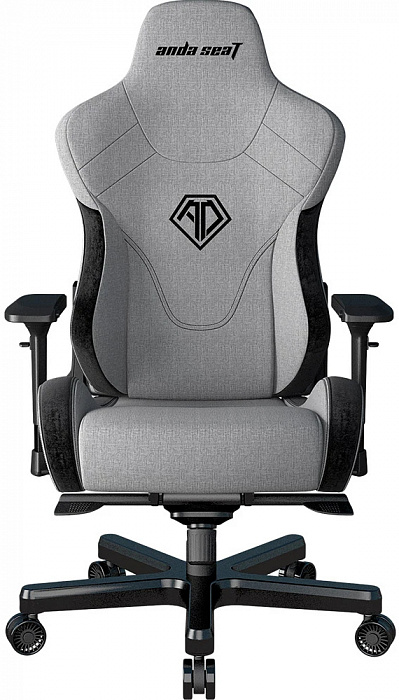 Игровое кресло AndaSeat T-Pro 2 (Grey/Black) купить в интернет-магазине icover