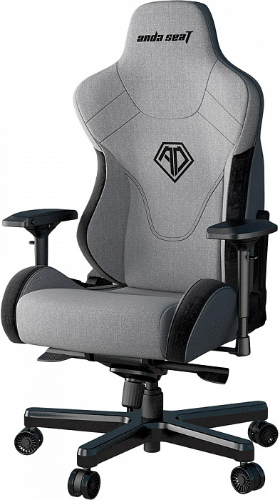 Игровое кресло AndaSeat T-Pro 2 (Grey/Black) купить в интернет-магазине icover