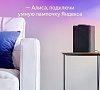 Умная лампочка Яндекс YNDX-00017 E14 (White) купить в интернет-магазине icover