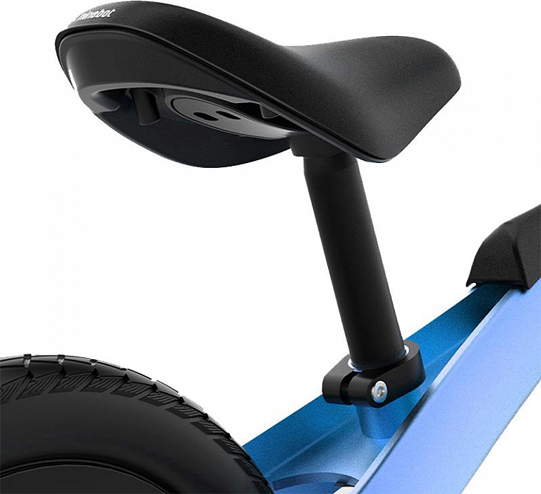 Беговел Xiaomi Ninebot Kids Bike N1KB12 (Blue) купить в интернет-магазине icover