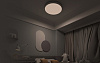 Потолочная лампа Yeelight Arwen Ceiling Light 450S (YLXD013) купить в интернет-магазине icover