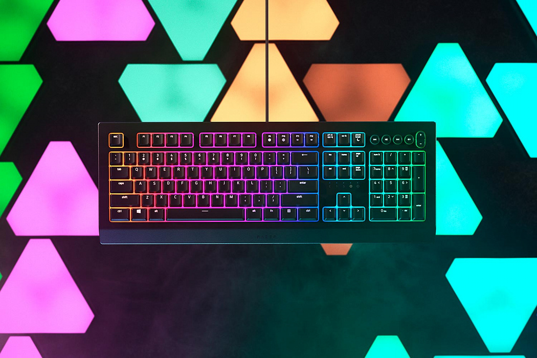 Игровая клавиатура Razer Cynosa V2 (RZ03-03400700-R3R1) купить в интернет-магазине icover