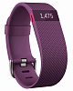 Fitbit Charge HR L - спортивный браслет пульсометр (Plum) купить в интернет-магазине icover