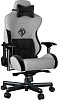 Игровое кресло AndaSeat T-Pro 2 (Grey/Black) купить в интернет-магазине icover