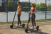 Электросамокат Ninebot KickScooter E45 (Grey) купить в интернет-магазине icover